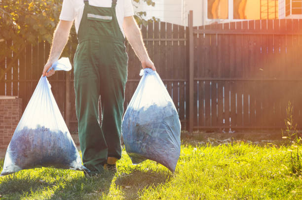 Best Yard Cleanup Services  in Steele, MO