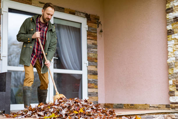 Best Construction Debris Removal  in Steele, MO